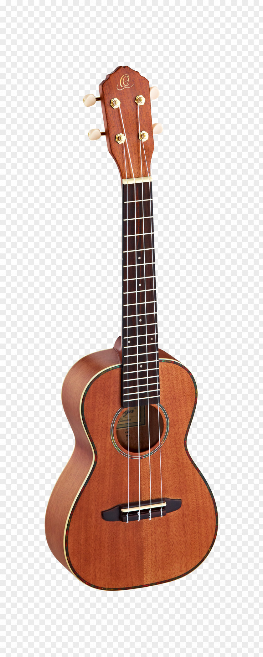 Amancio Ortega Ukulele Steel-string Acoustic Guitar Musical Instruments Electric PNG