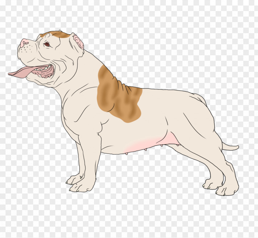 Puppy Toy Bulldog Dog Breed Illustration PNG