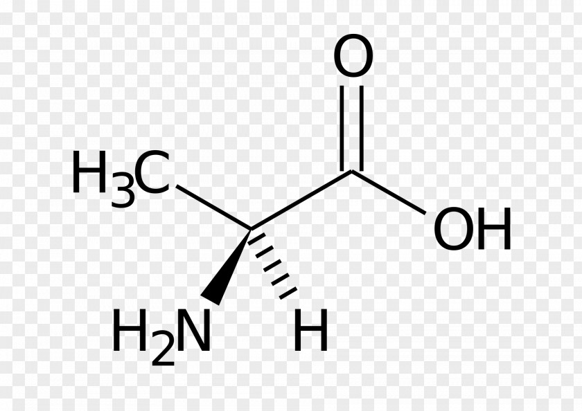 Smiles Methyl Group Threonine Homocysteine Amino Acid PNG