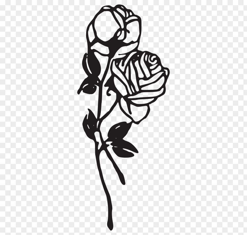 Black And White Roses Pictures Rose Clip Art PNG