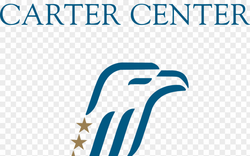 Carter Center Election Monitoring Democracy Non-Governmental Organisation PNG