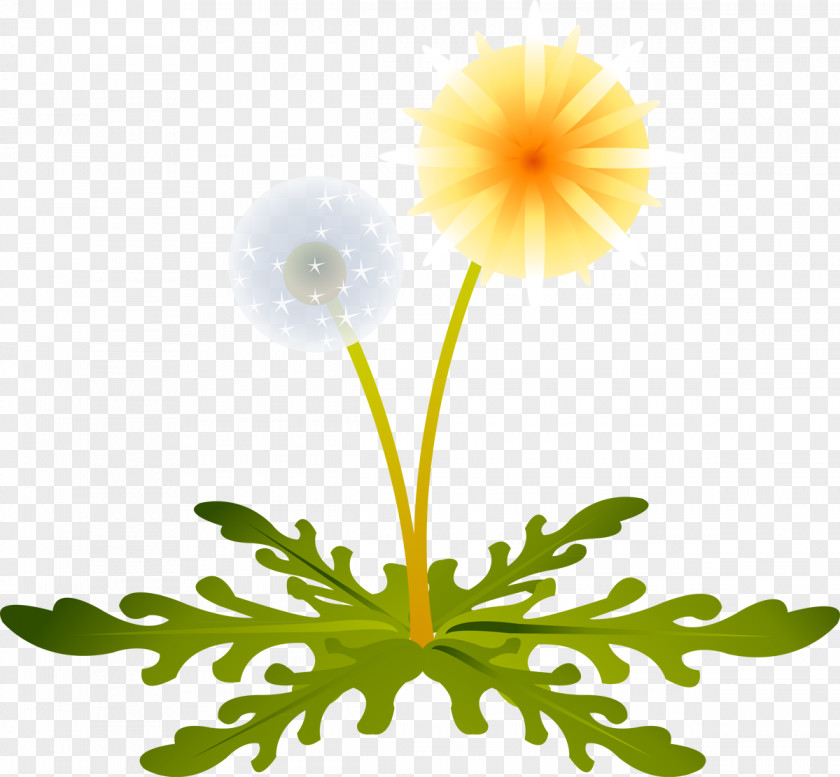 Dandelion LiveInternet Clip Art PNG