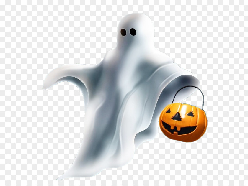 Design Halloween Ghost Photography PNG