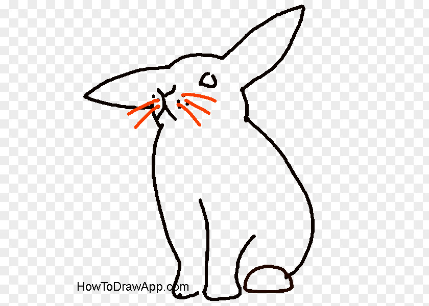 Drawing Rabbit Domestic Whiskers Hare Bugs Bunny PNG