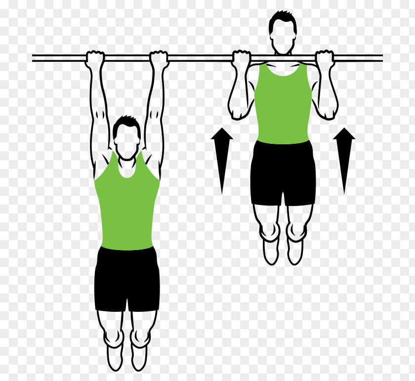 Dumbbell Chin-up Pull-up Exercise Muscle PNG