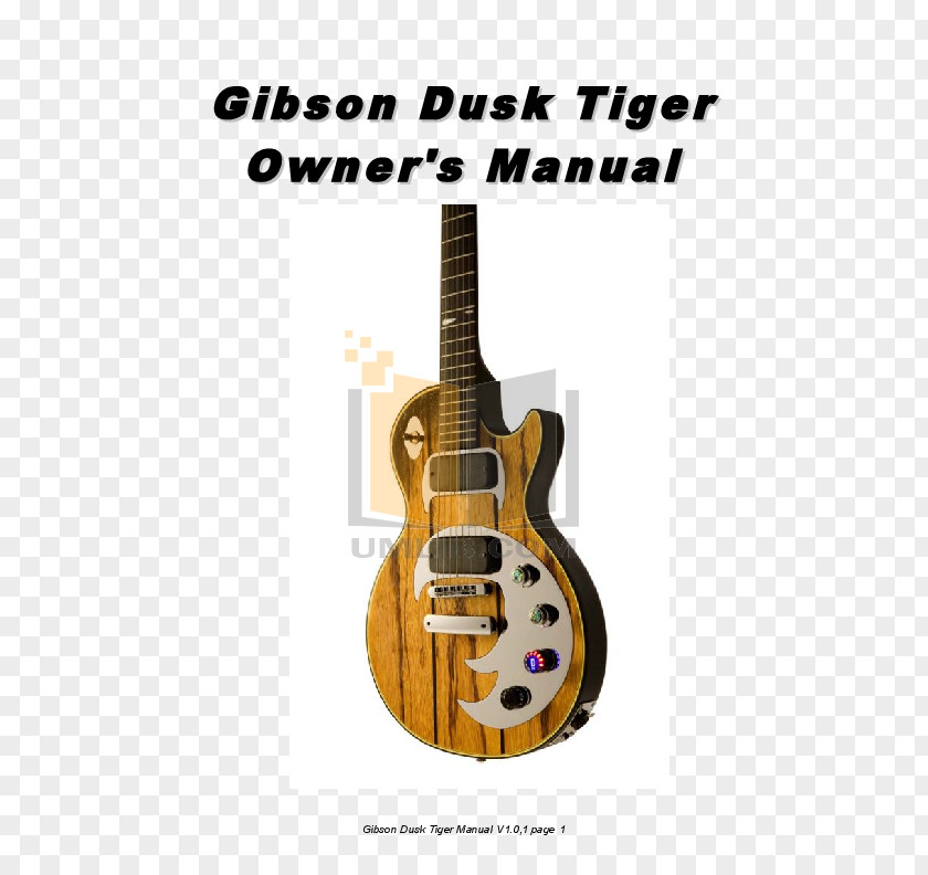 Electric Guitar Tiple Acoustic Bass PNG