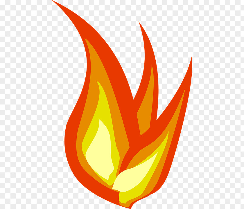 Fire Drawing Clip Art PNG