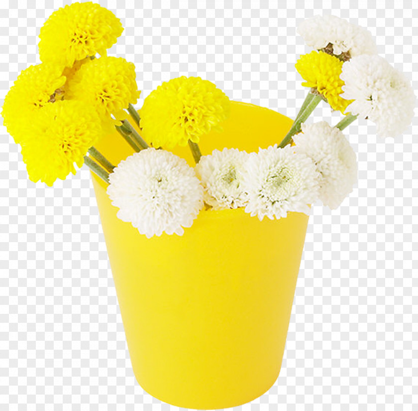 Flower Cut Flowers Flowerpot Advertising Chrysanthemum PNG