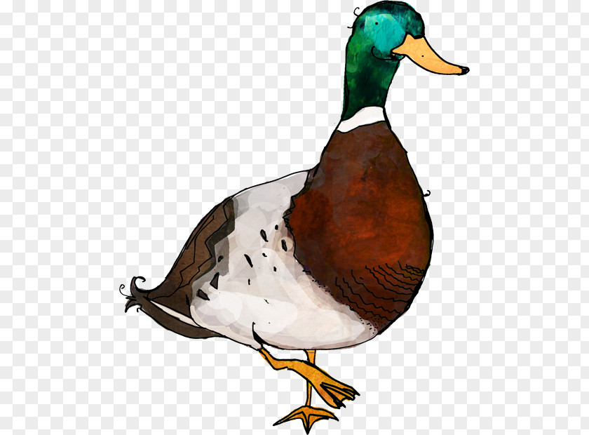 Goose Mallard Duck Art PNG