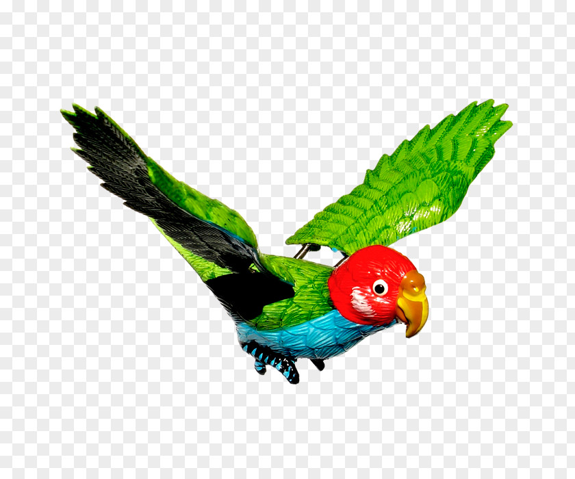 Green Parrot Toys True Download PNG