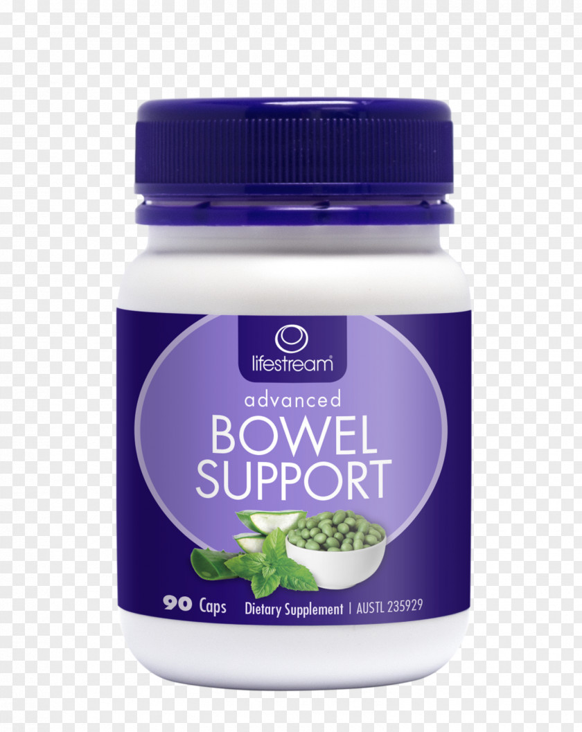 Health Nutrient Large Intestine Digestion Irritable Bowel Syndrome Probiotic PNG