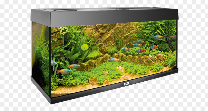 Light Aquarium Filters Aquatic Plants Darkness PNG