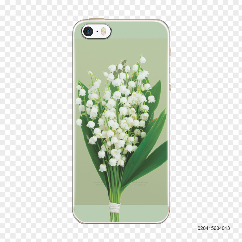 Lily Of The Valley Flower Royalty-free Stock Photography PNG