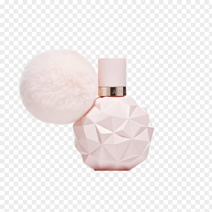 Perfume Eau De Toilette Female Bergamot Orange Milliliter PNG