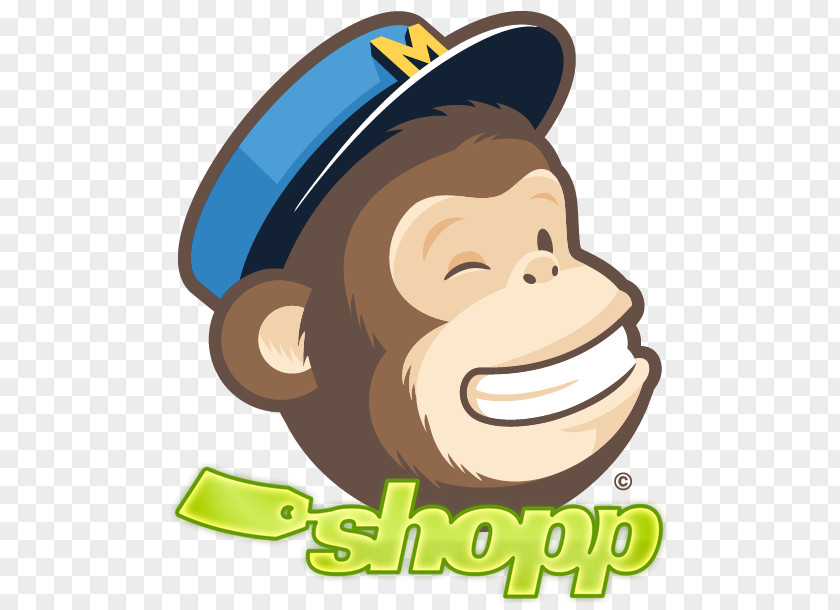 Email MailChimp Marketing Newsletter PNG