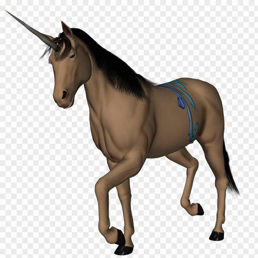 Horse Unicorn Fairy Tale Legendary Creature Mythology PNG