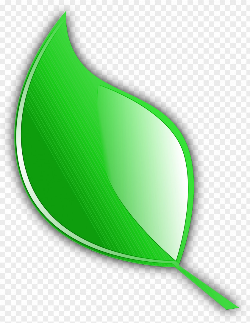 Plant Symbol Arrow PNG