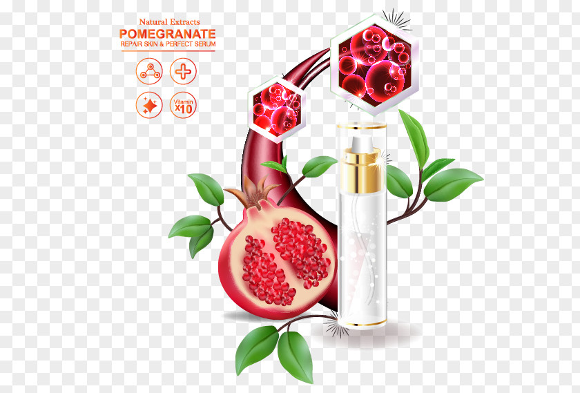 Pomegranate Skincare Vector Material PNG