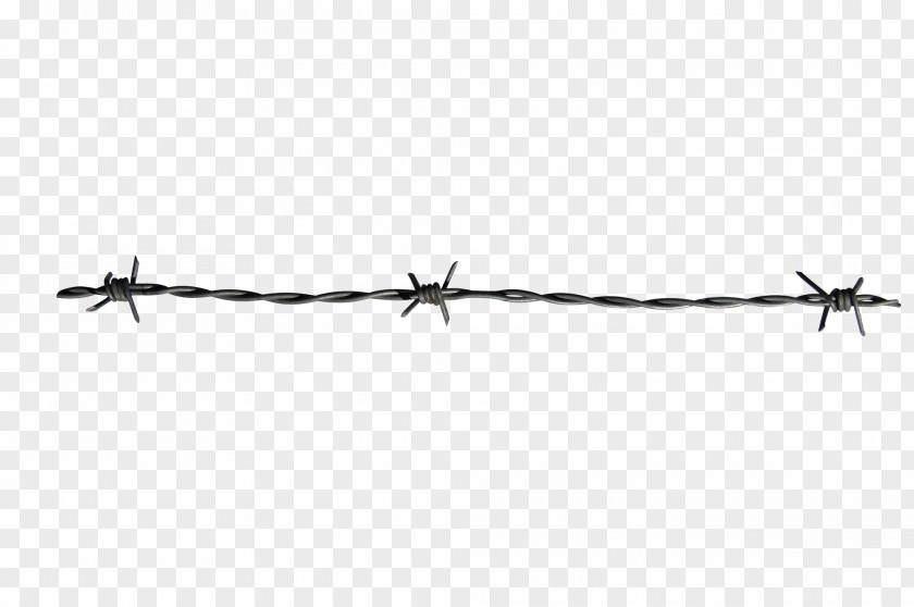 Wires Barbed Wire Fence PNG
