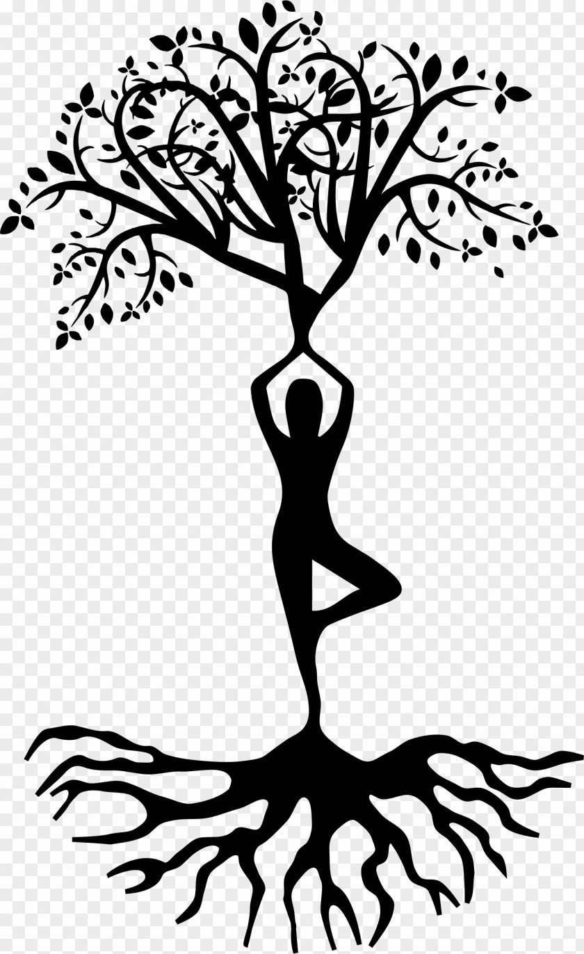 Yoga Vriksasana Tree PNG