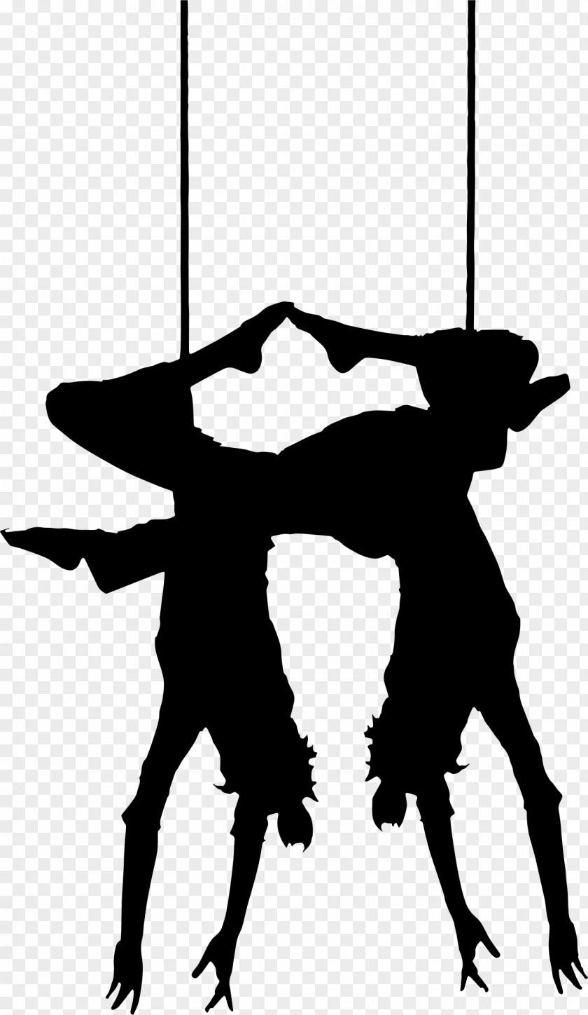 Artist Circus Trapeze PNG
