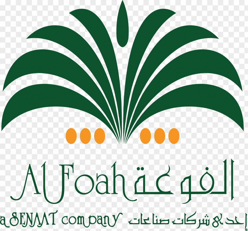 Date Palm Arecaceae Logo Business Alfoah Secondary School PNG