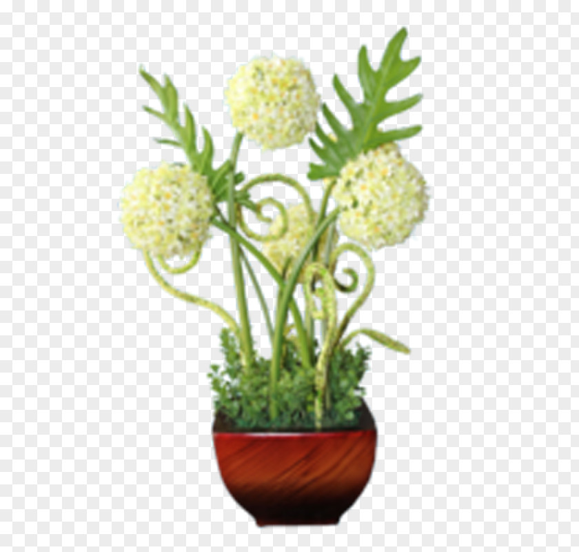 Flower Floral Design Flowerpot Cut Flowers PNG