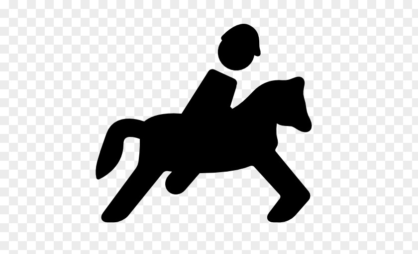 Horse Equestrian Sport PNG