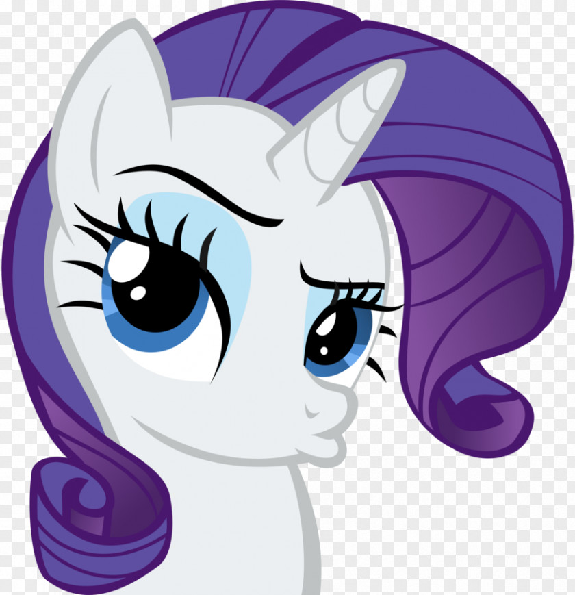 My Little Pony Rarity Twilight Sparkle Pinkie Pie Rainbow Dash PNG