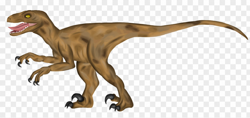 Velociraptor Tyrannosaurus Terrestrial Animal PNG