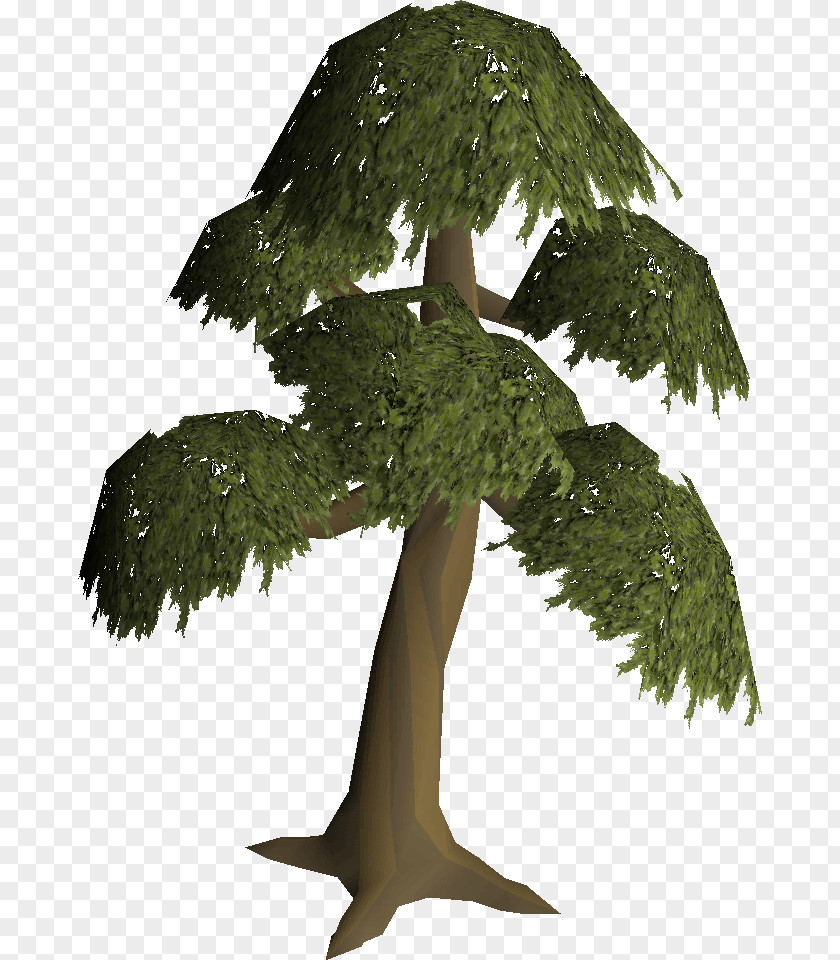 Building tree Old School RuneScape English Yew Branch Tree PNG