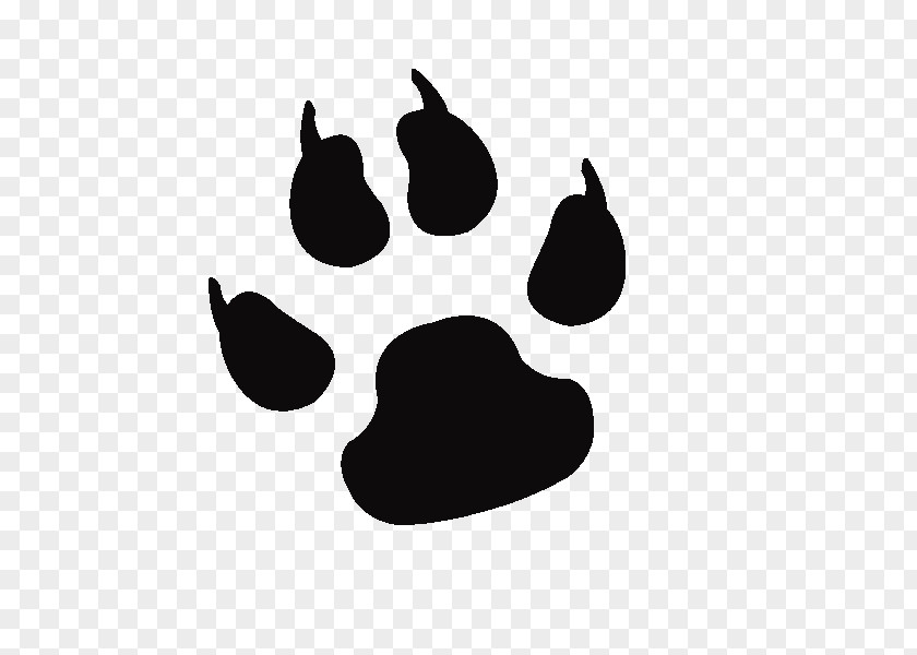 Dog Cat Paw Bear Clip Art PNG
