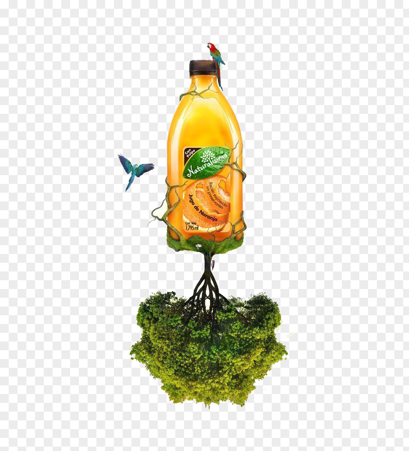 Long On The Branch Of Fruit Juice Graphic Design Behance PNG