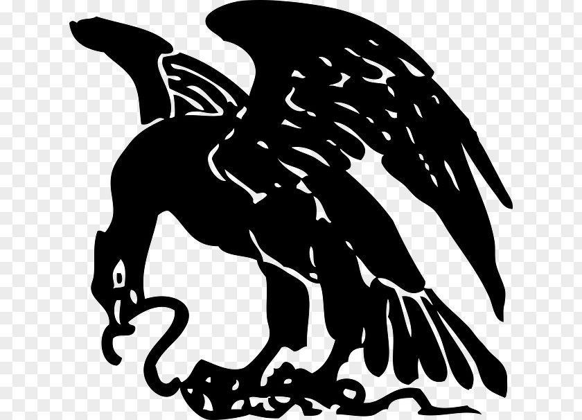 Snake Bald Eagle Golden Clip Art PNG