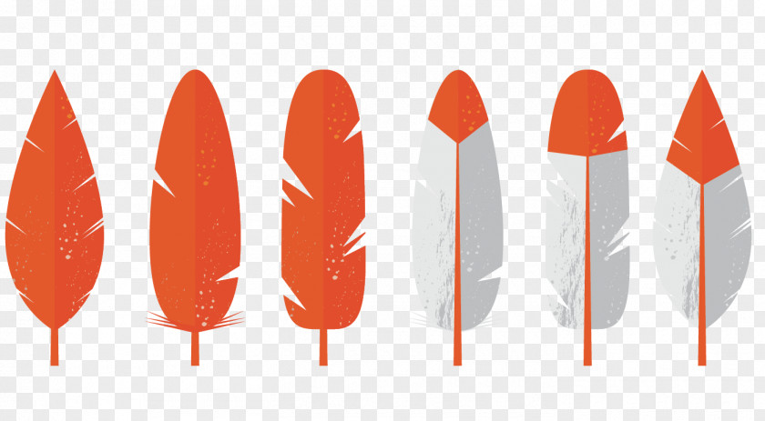 Vector Orange Feather Euclidean Download PNG