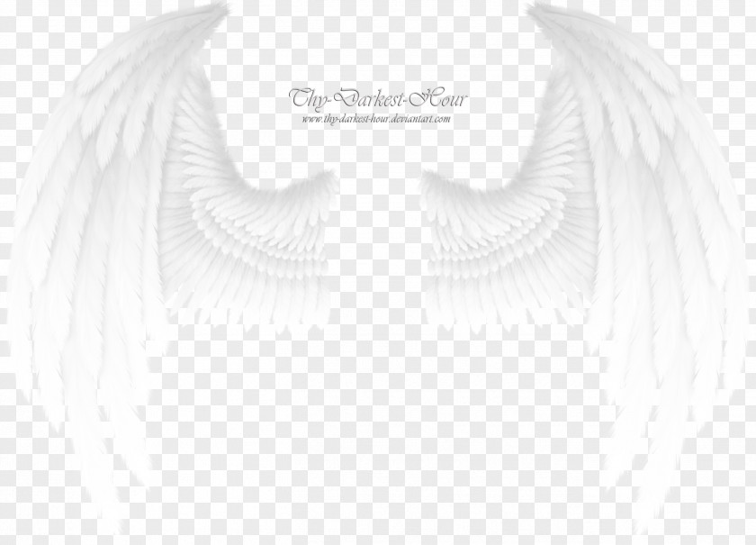 Wings Angel Shoulder Sleeve Joint White PNG