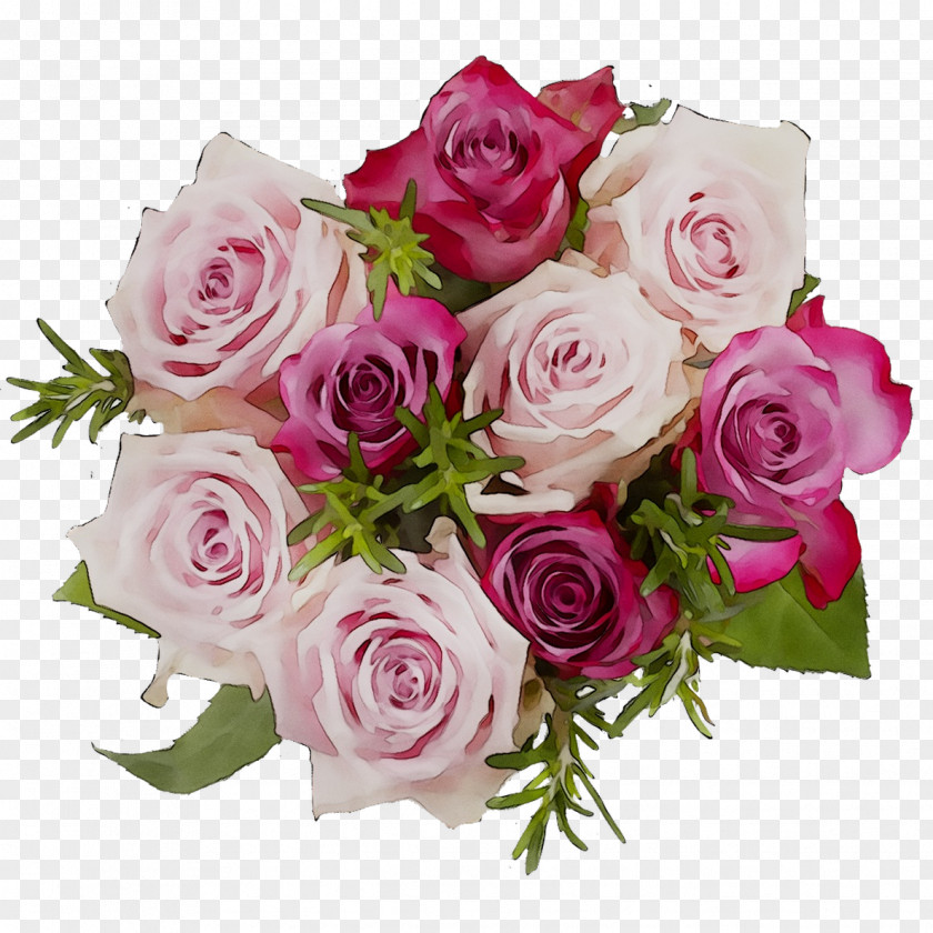Garden Roses Cabbage Rose Floral Design Cut Flowers PNG