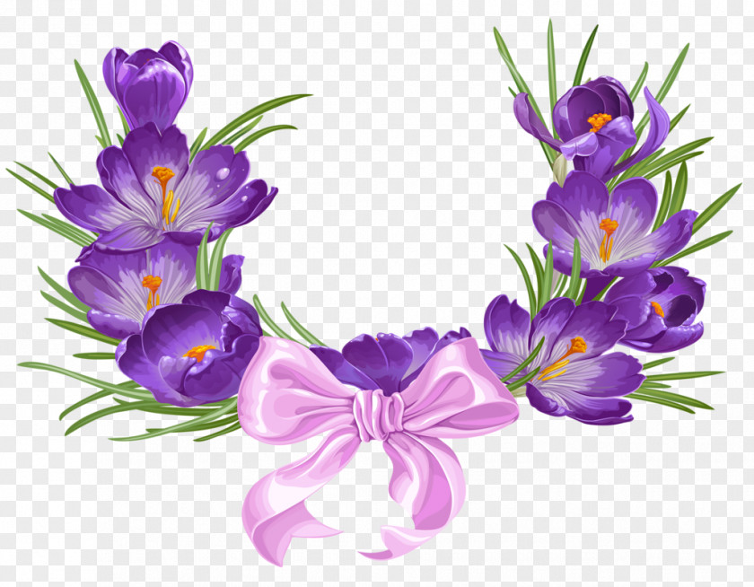 Lavender Flower Crocus Purple Clip Art PNG