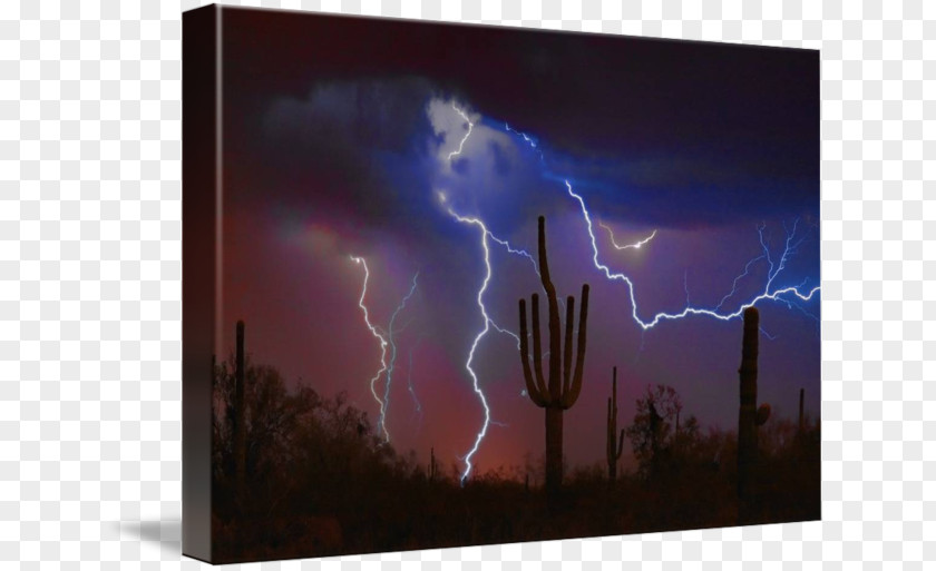 Lightning Gallery Wrap Canvas Art Thunder PNG