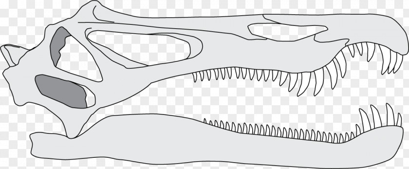 Baryonyx Ark /m/02csf Line Art Fish Product Design Jaw PNG