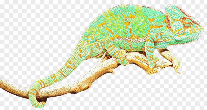 Chameleons Iguanas Insect Fauna Terrestrial Animal PNG