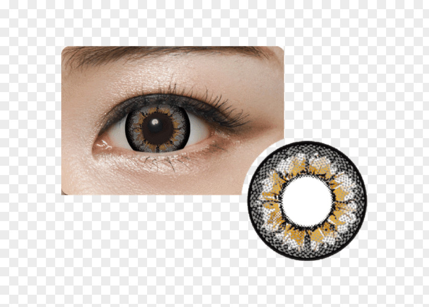 Eye Contact Lenses Cafe Circle Lens Cappuccino PNG