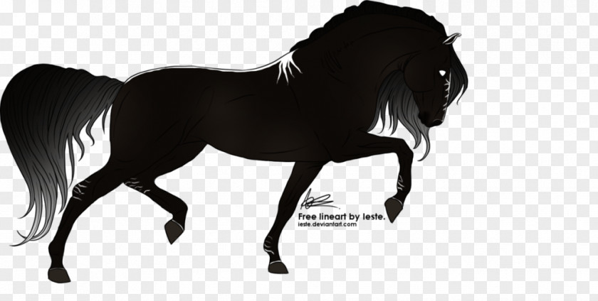 Fantasy Horse Mane Mustang Stallion Mare Bridle PNG