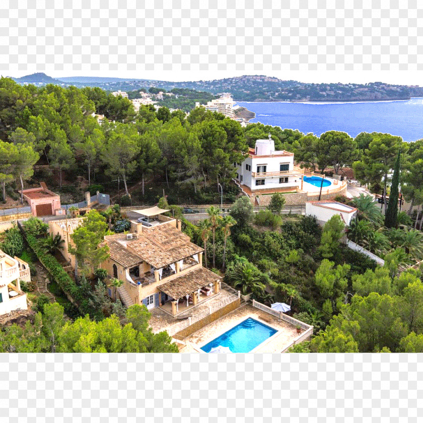 Hotel Costa De La Calma Villa Majorca: The Island Of Calm Ocean View PNG