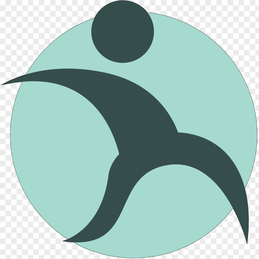 Logo Illustration Fish Clip Art Font PNG