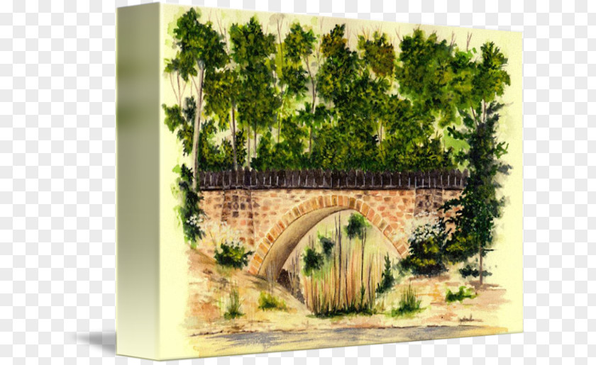 Mill Creek Painting Garden Tree PNG