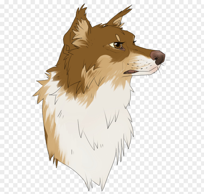 Ming Piece Simple Shading Dog Breed Red Fox Rough Collie Whiskers Snout PNG