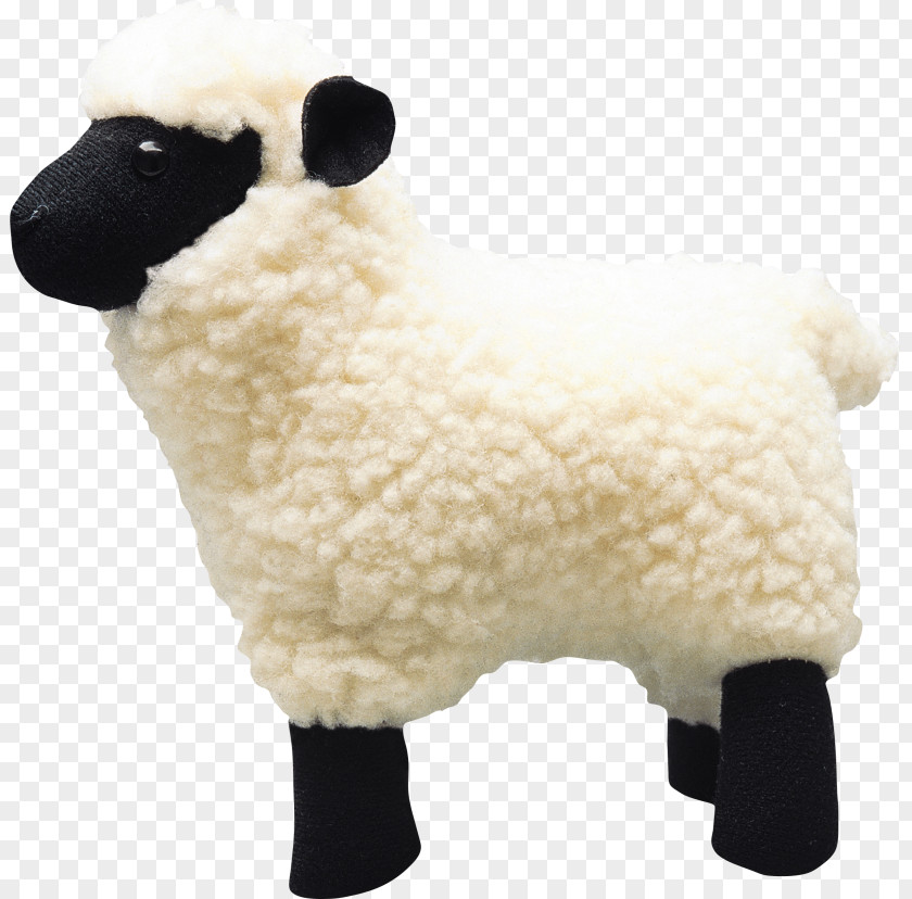 Sheep Goat Caprinae Stuffed Animals & Cuddly Toys Wool PNG