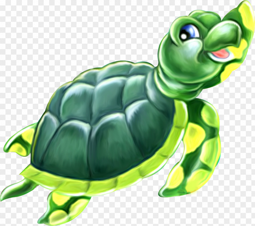 Turtle Green Sea Reptile Image Drawing PNG