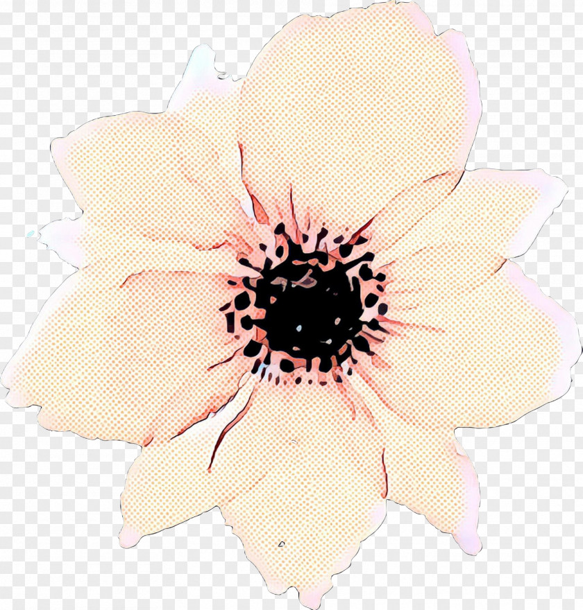 Wildflower Anemone Pink Flower Cartoon PNG